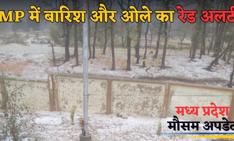 Weather of MP: शहडोल-जबलपुर समेत 15 जिलों में आंधी के साथ बारिश का अलर्ट, मप्र के इन इलाकों में गिर सकते हैं ओले
