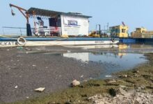 Varanasi News: कानपुर से ज्यादा काशी की गंगा में मिला प्लास्टिक प्रदूषण, शोध में खुलासा; मछलियां भी प्रभावित