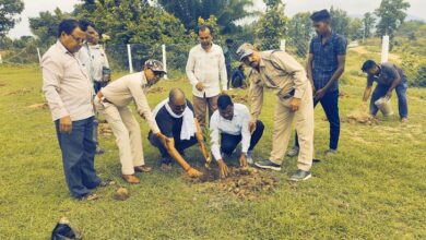 एक पेड़ मां के नाम पर सूर्रा ग्राम पंचायत में किया गया पौधरोपण - Balrampur News